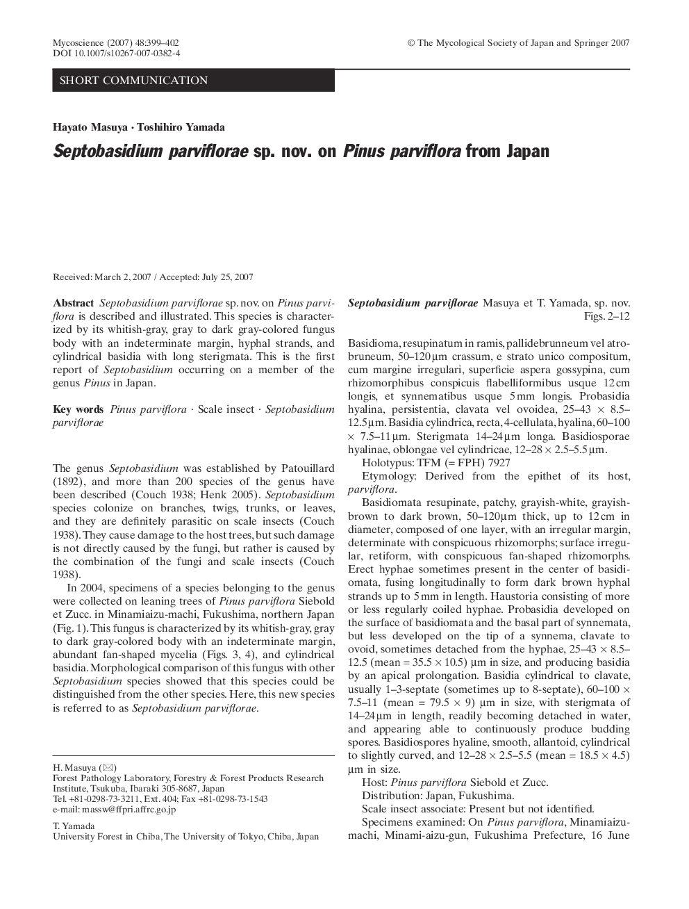 Septobasidium parviflorae sp. nov. on Pinus parviflora from Japan