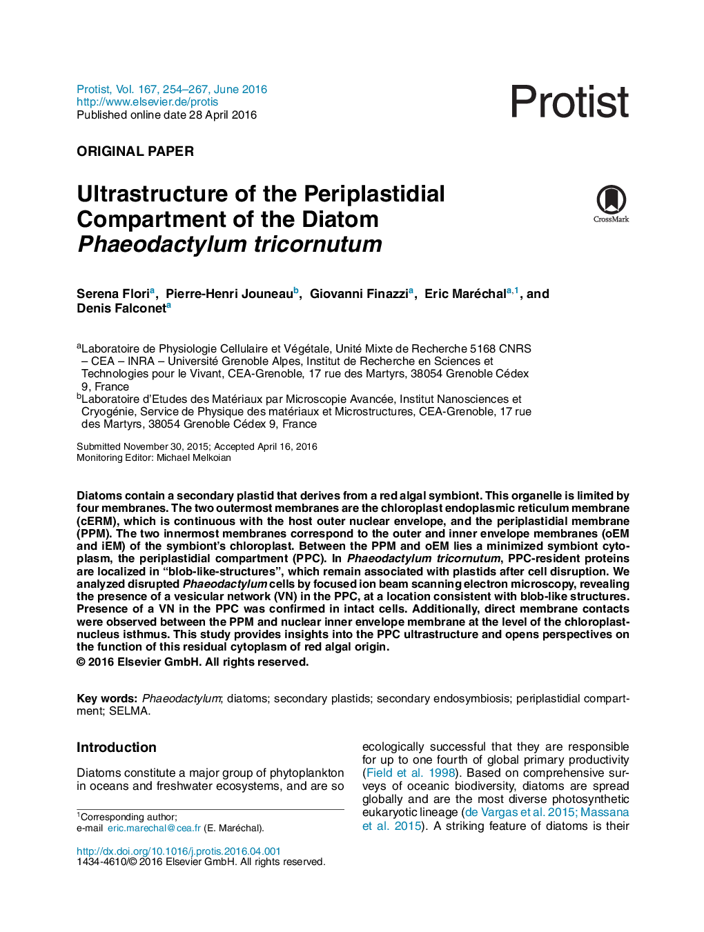 Ultrastructure of the Periplastidial Compartment of the Diatom Phaeodactylum tricornutum