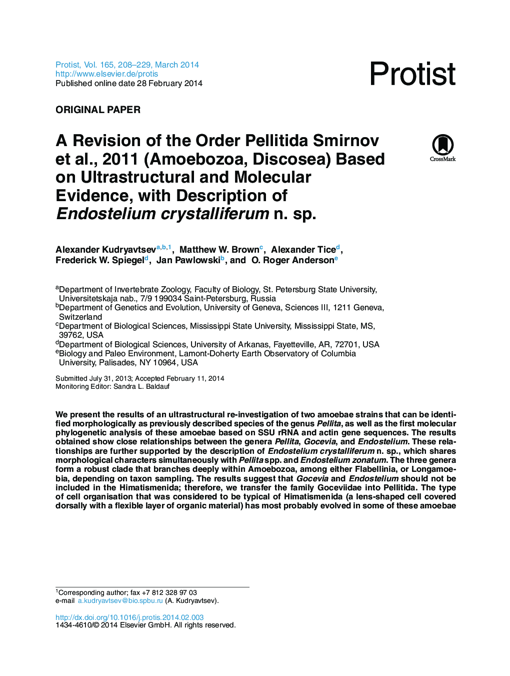 A Revision of the Order Pellitida Smirnov et al., 2011 (Amoebozoa, Discosea) Based on Ultrastructural and Molecular Evidence, with Description of Endostelium crystalliferum n. sp.