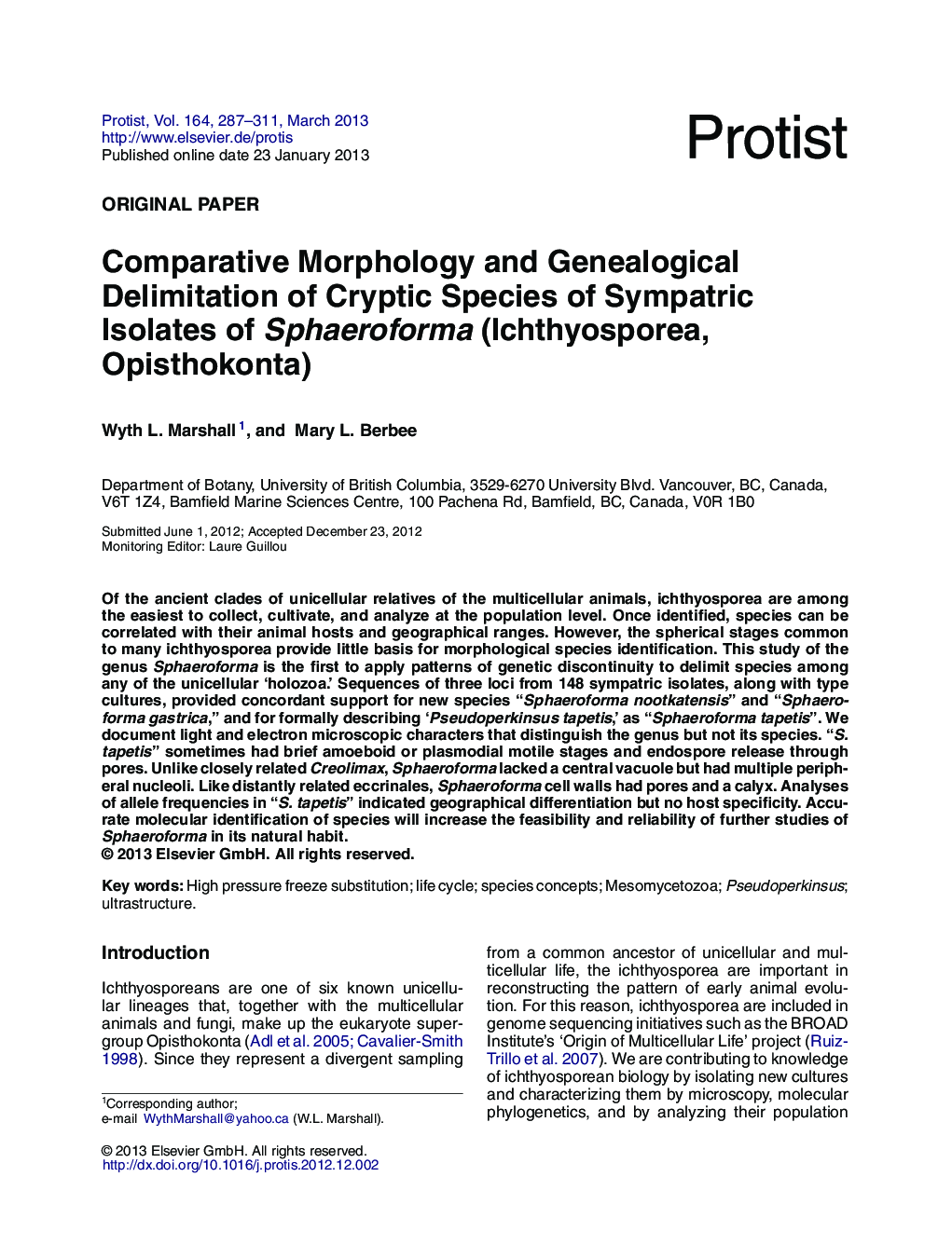 Comparative Morphology and Genealogical Delimitation of Cryptic Species of Sympatric Isolates of Sphaeroforma (Ichthyosporea, Opisthokonta)