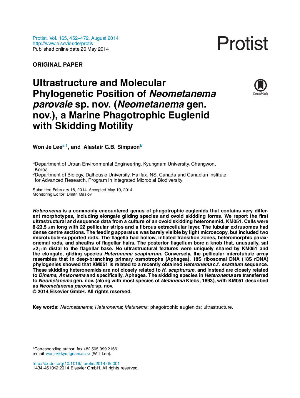 Ultrastructure and Molecular Phylogenetic Position of Neometanema parovale sp. nov. (Neometanema gen. nov.), a Marine Phagotrophic Euglenid with Skidding Motility