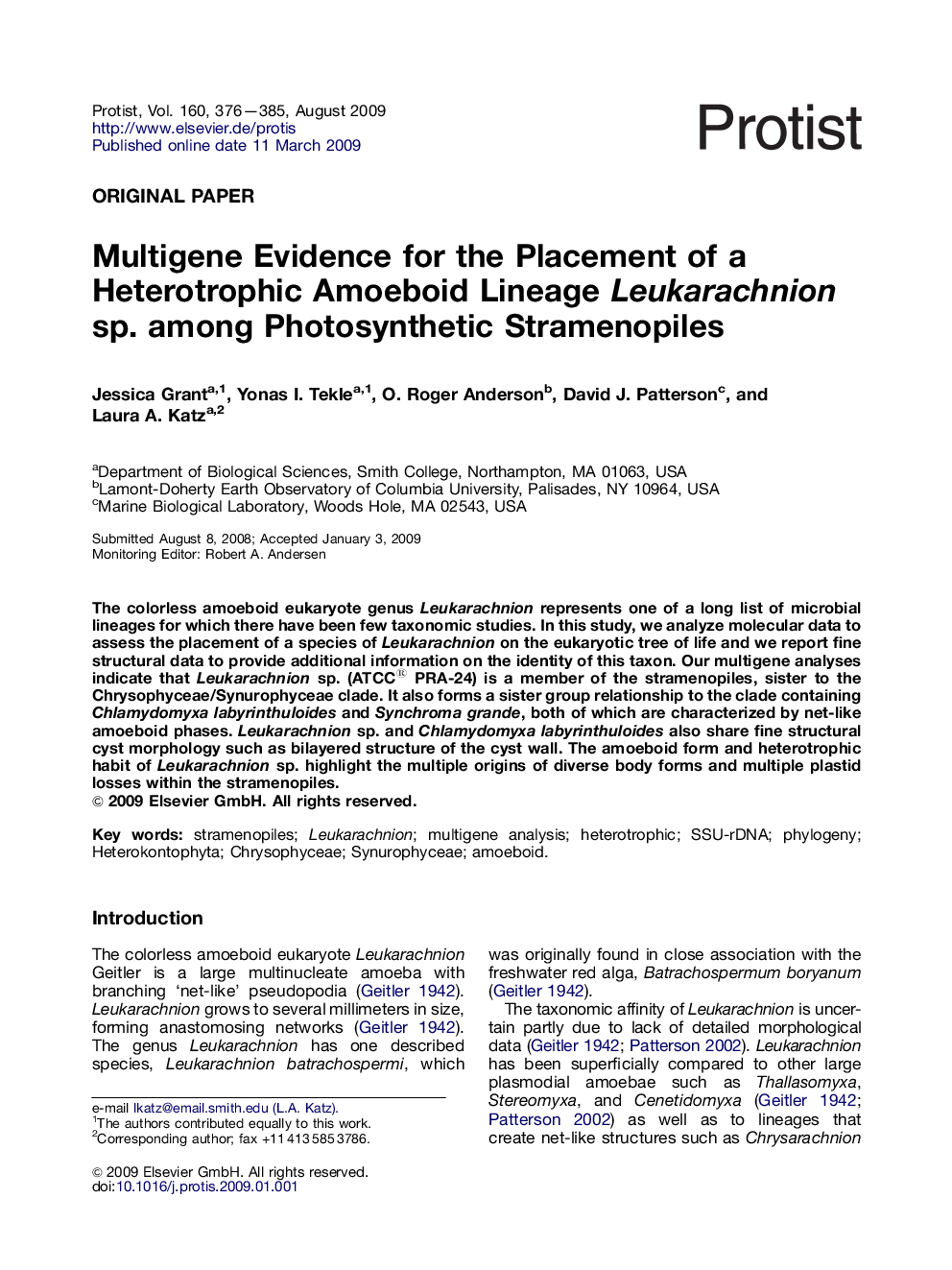 Multigene Evidence for the Placement of a Heterotrophic Amoeboid Lineage Leukarachnion sp. among Photosynthetic Stramenopiles