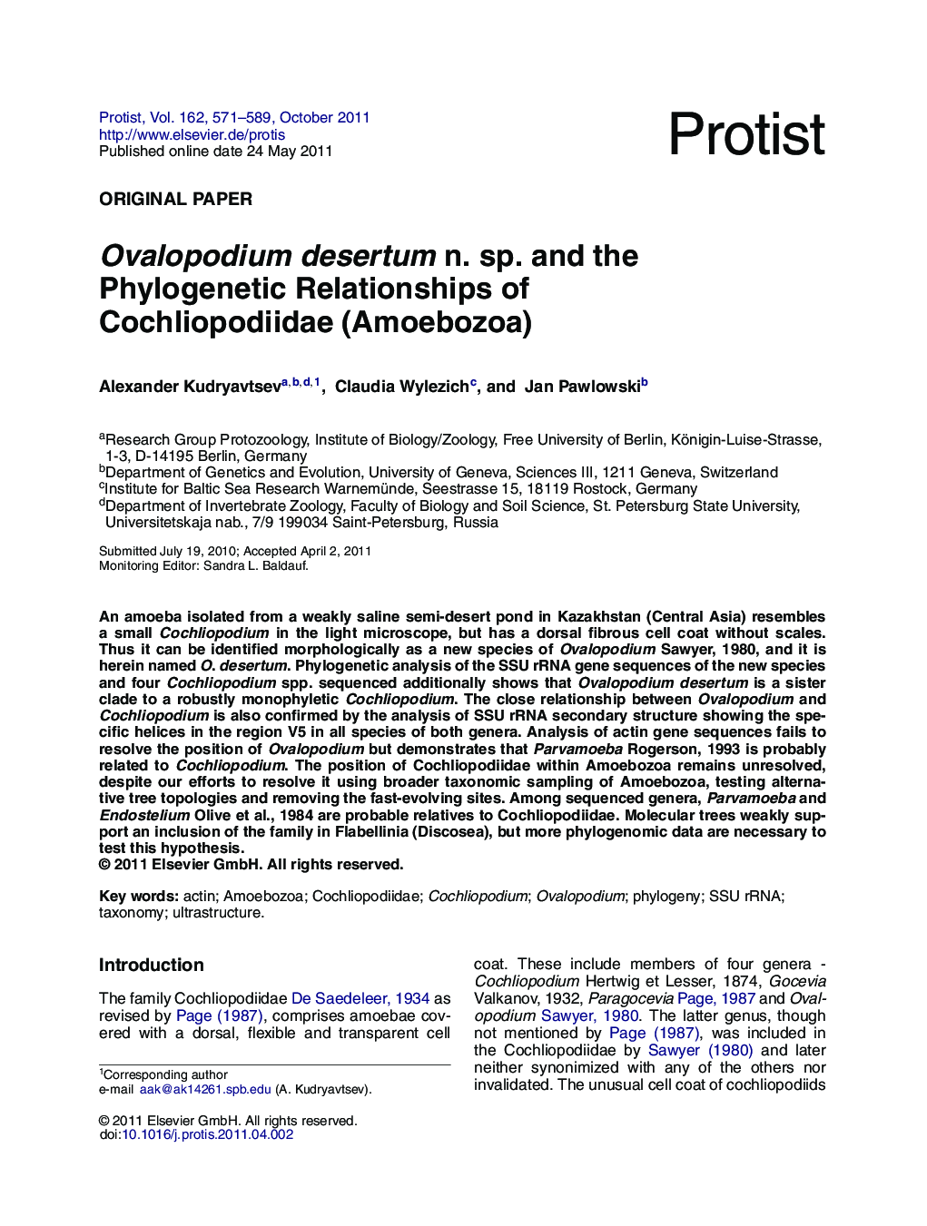 Ovalopodium desertum n. sp. and the Phylogenetic Relationships of Cochliopodiidae (Amoebozoa)