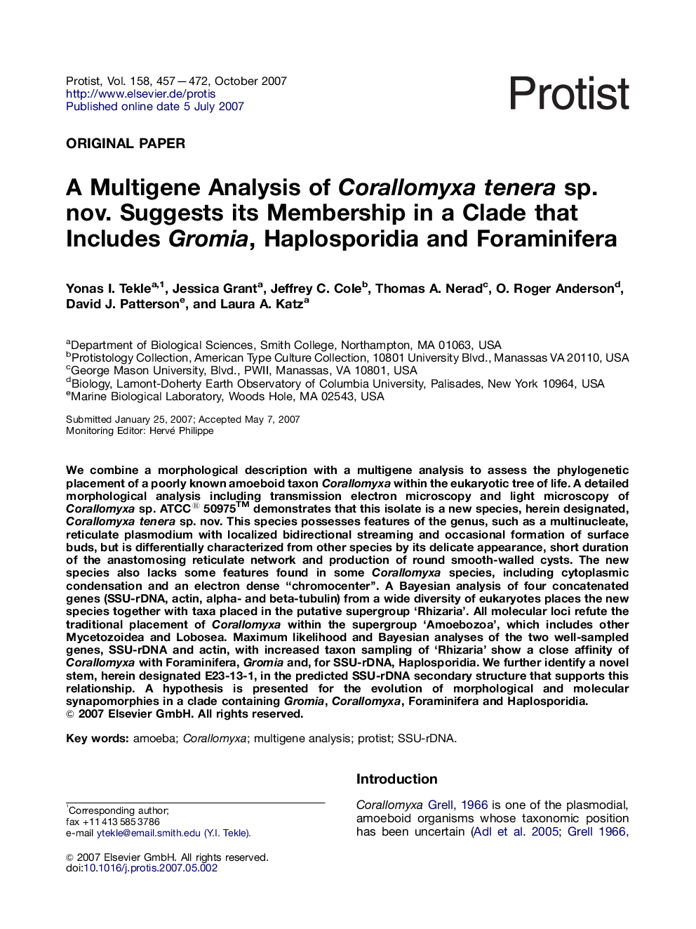 A Multigene Analysis of Corallomyxa tenera sp. nov. Suggests its Membership in a Clade that Includes Gromia, Haplosporidia and Foraminifera