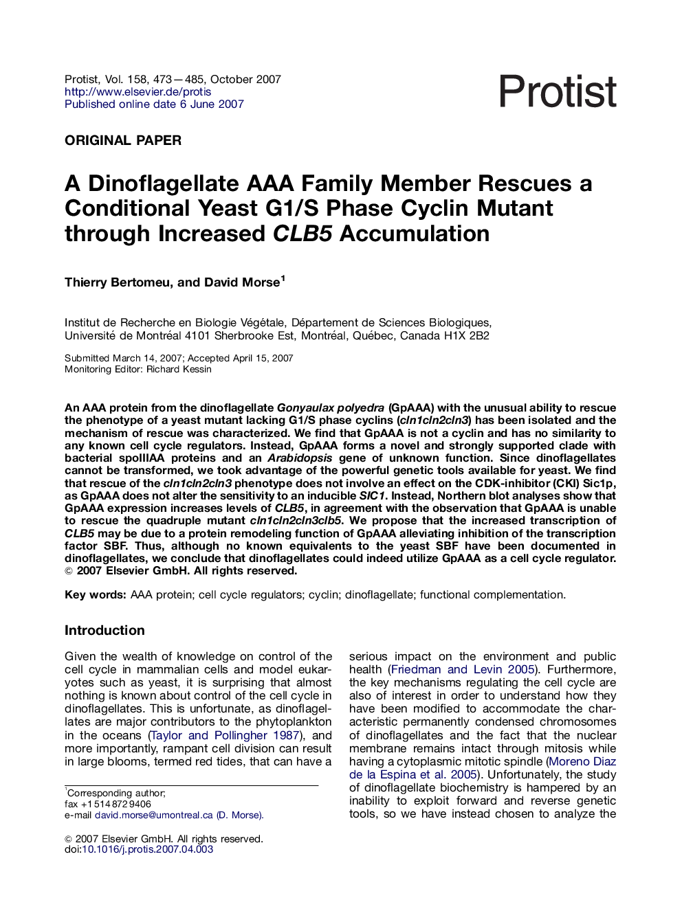 A Dinoflagellate AAA Family Member Rescues a Conditional Yeast G1/S Phase Cyclin Mutant through Increased CLB5 Accumulation