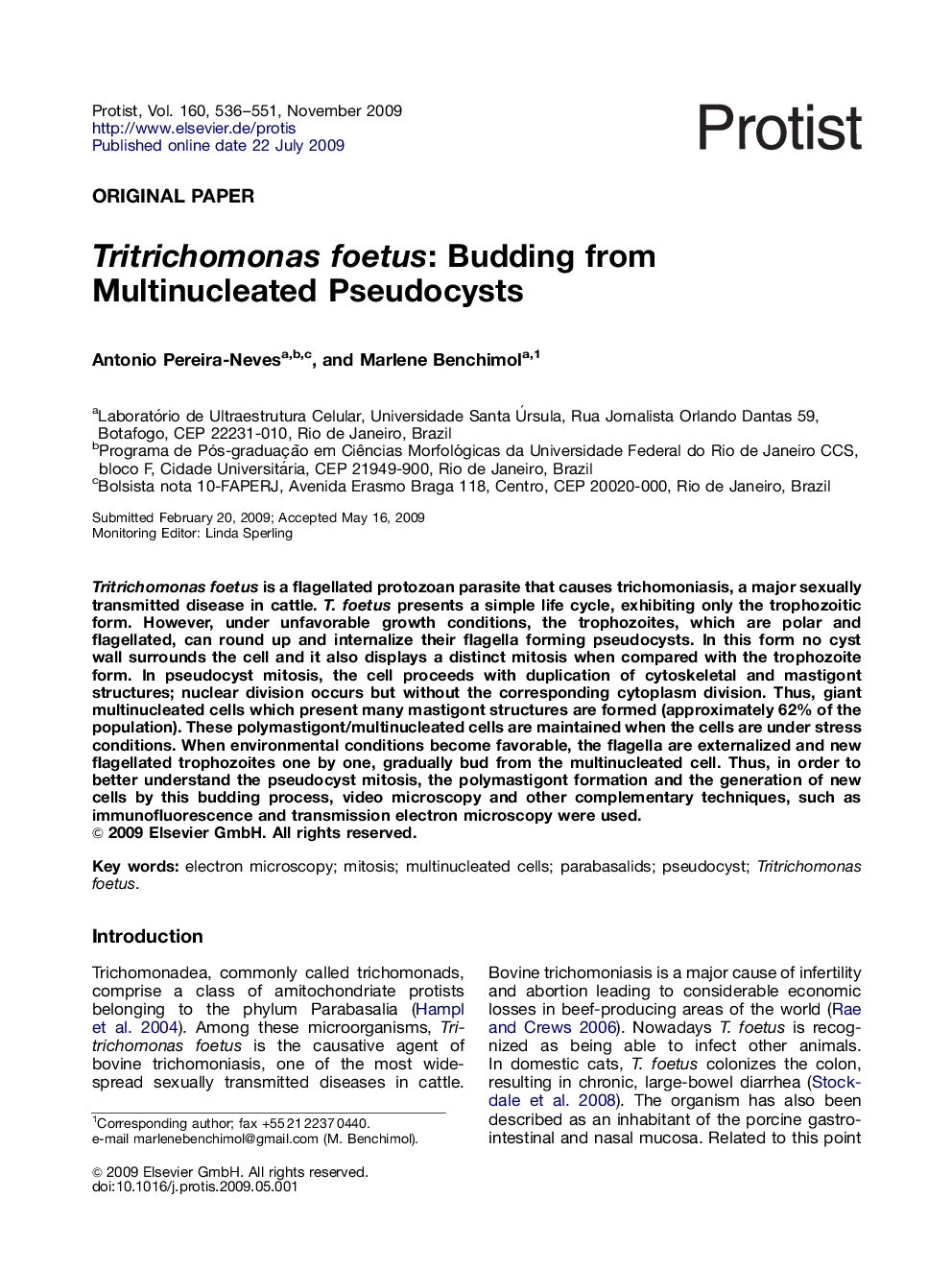 Tritrichomonas foetus: Budding from Multinucleated Pseudocysts