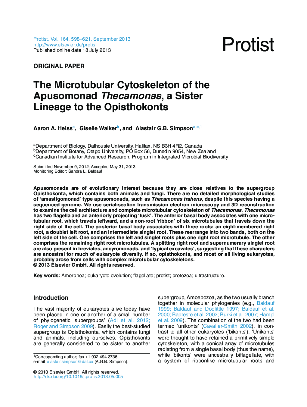 The Microtubular Cytoskeleton of the Apusomonad Thecamonas, a Sister Lineage to the Opisthokonts