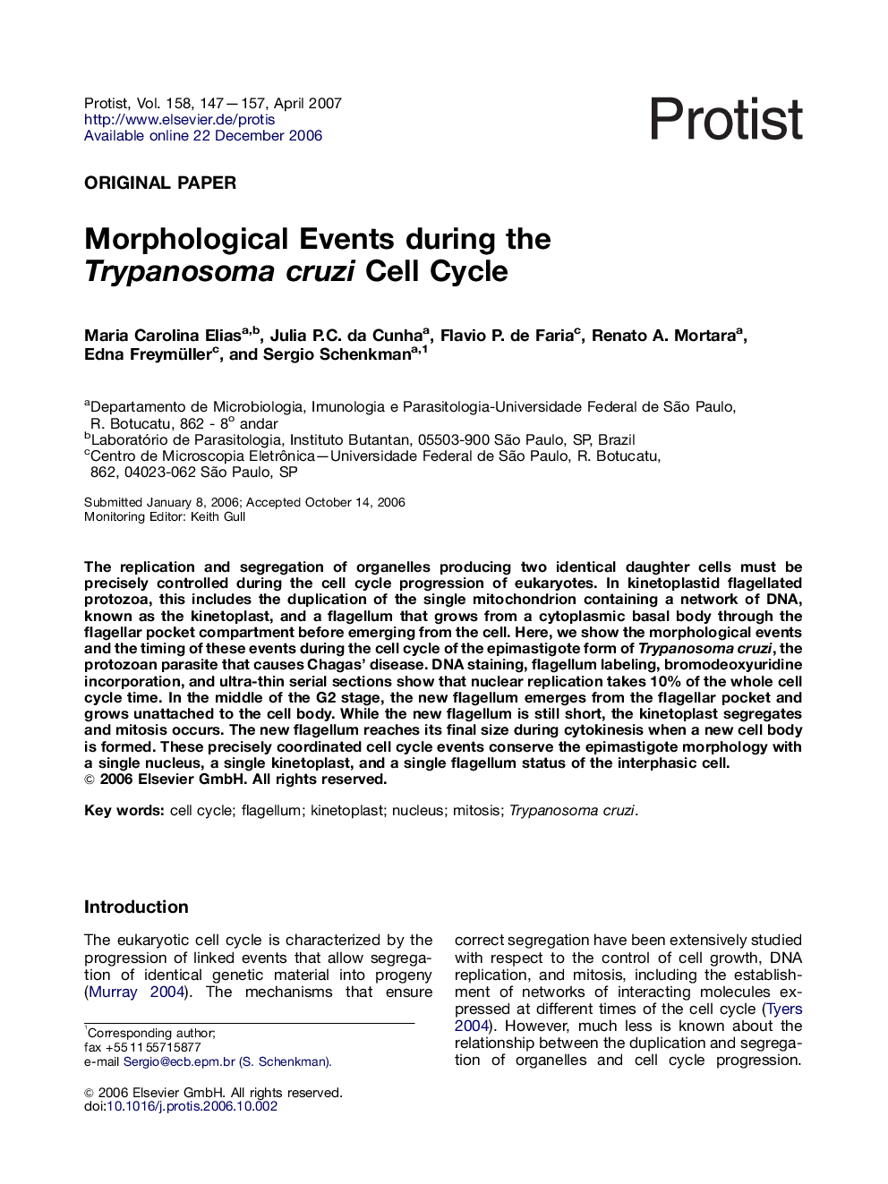 Morphological Events during the Trypanosoma cruzi Cell Cycle