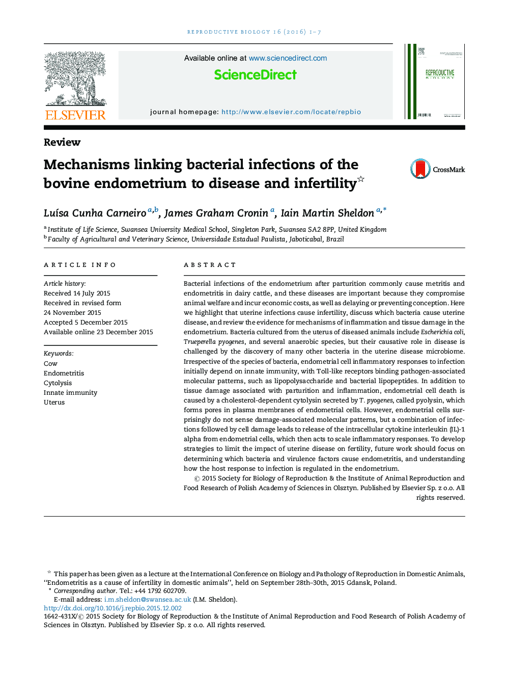 Mechanisms linking bacterial infections of the bovine endometrium to disease and infertility 