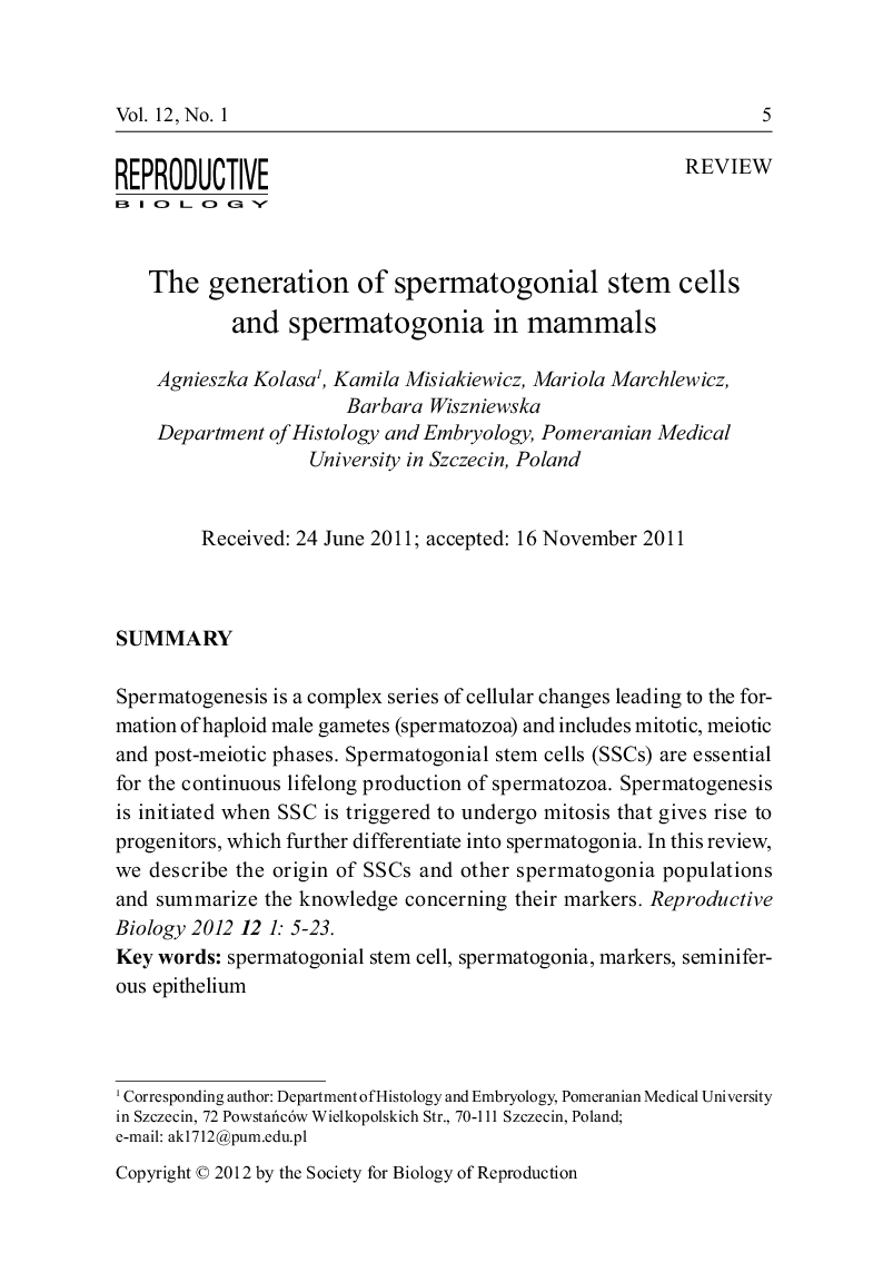 The generation of spermatogonial stem cells and spermatogonia in mammals