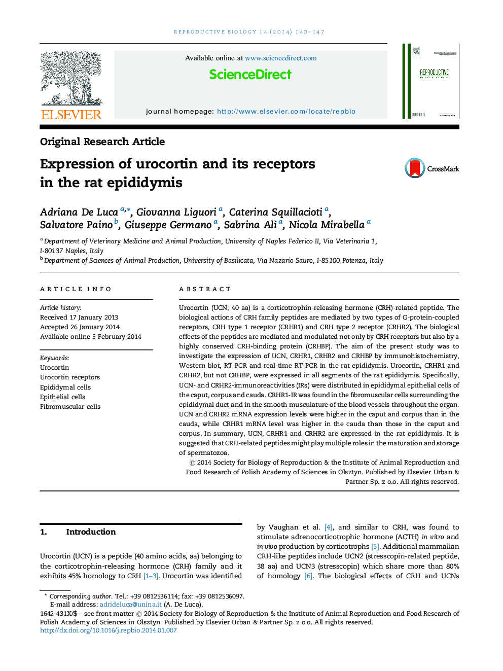 Expression of urocortin and its receptors in the rat epididymis