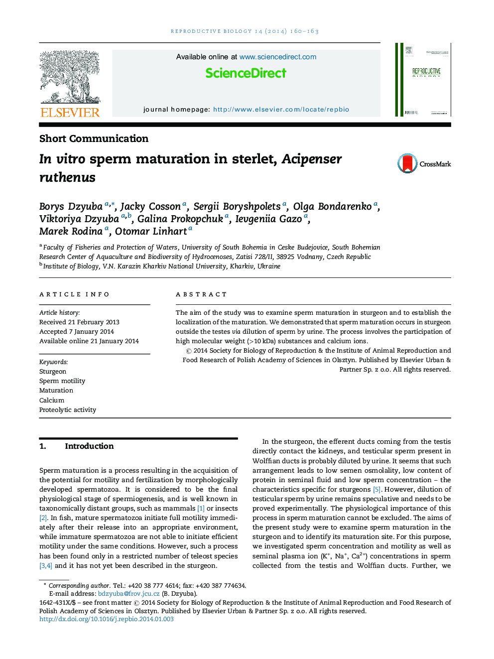 In vitro sperm maturation in sterlet, Acipenser ruthenus