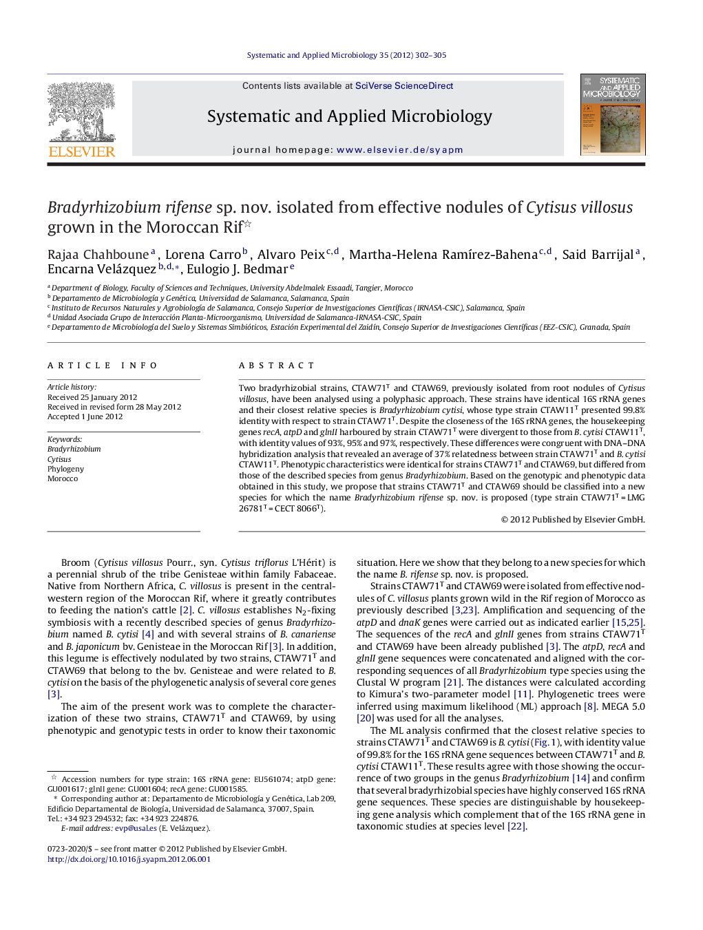 Bradyrhizobium rifense sp. nov. isolated from effective nodules of Cytisus villosus grown in the Moroccan Rif 