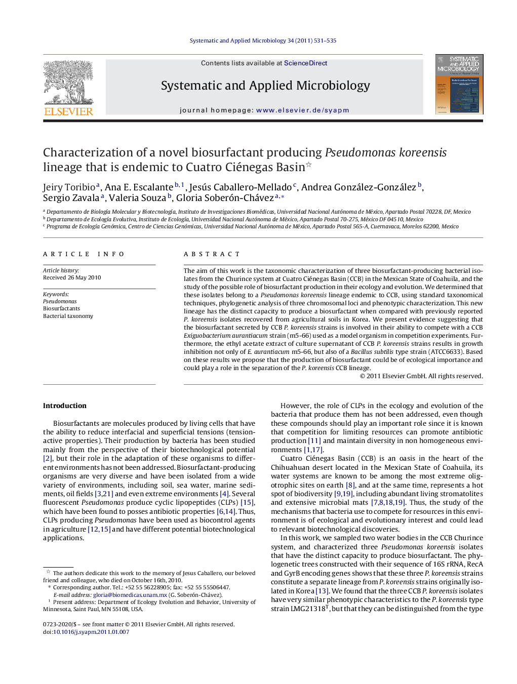 Characterization of a novel biosurfactant producing Pseudomonas koreensis lineage that is endemic to Cuatro Ciénegas Basin 