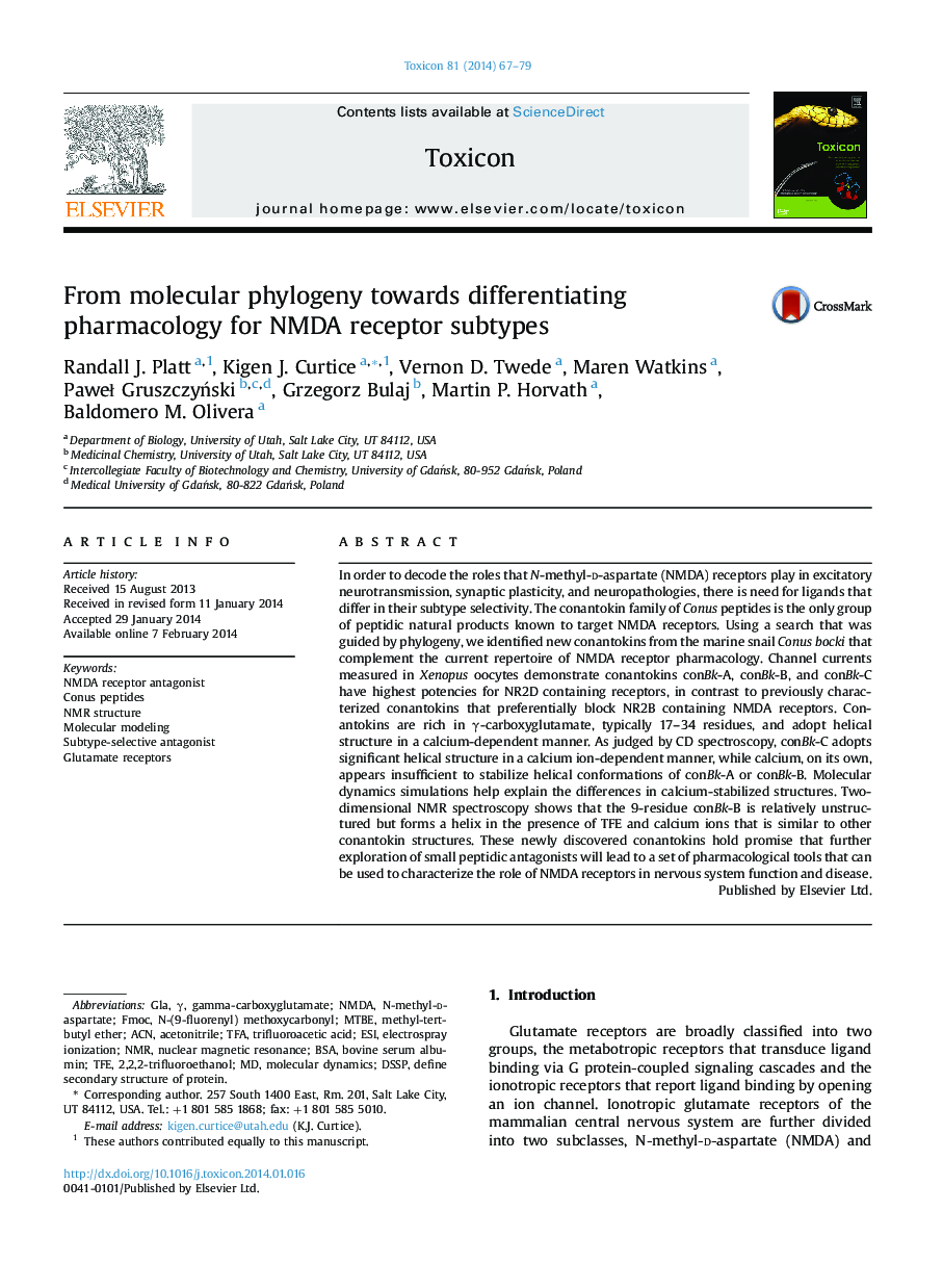 From molecular phylogeny towards differentiating pharmacology for NMDA receptor subtypes