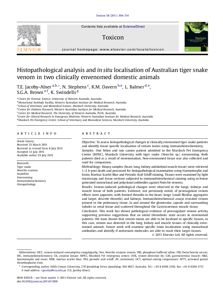 Histopathological analysis and in situ localisation of Australian tiger snake venom in two clinically envenomed domestic animals