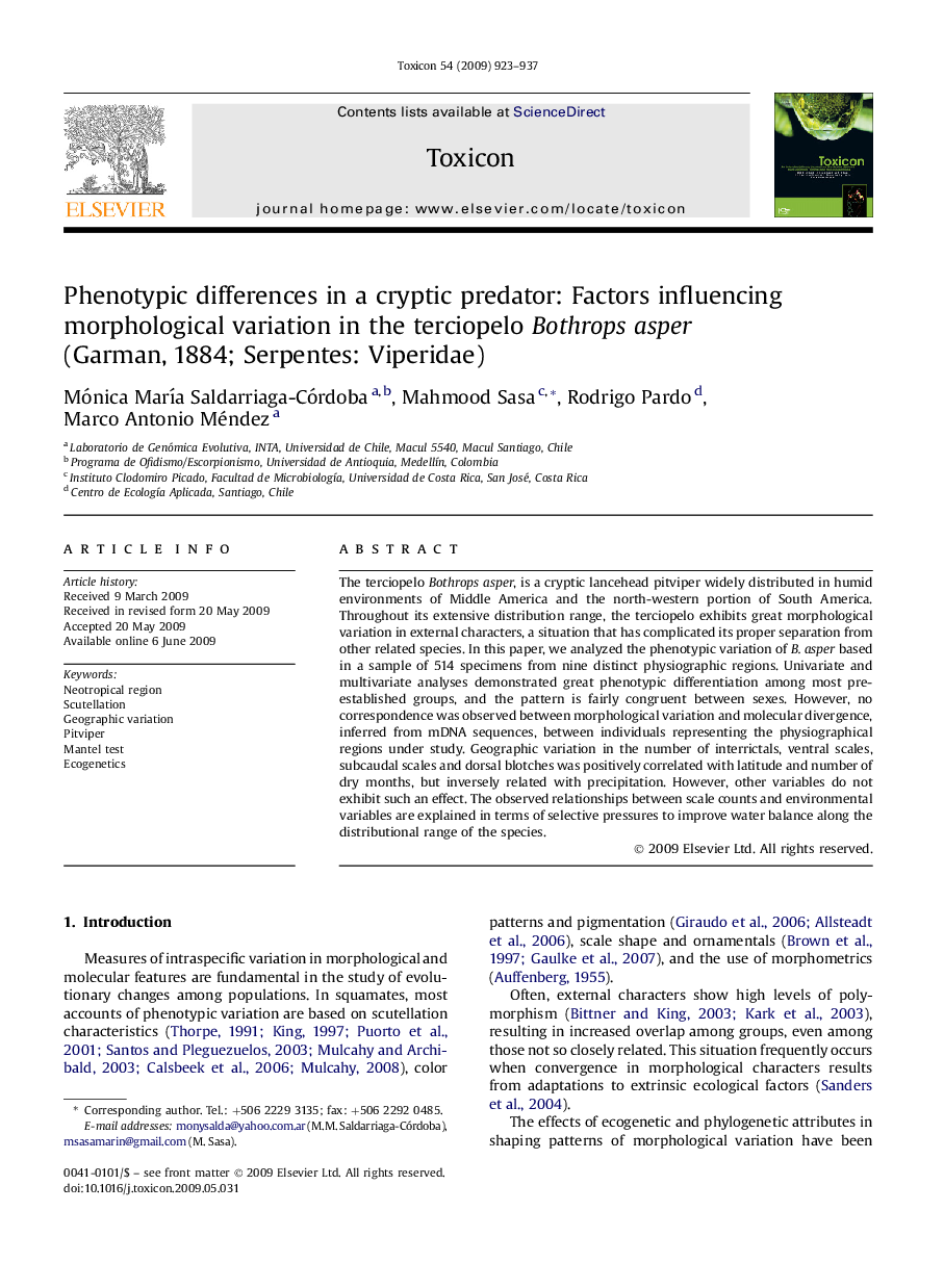 Phenotypic differences in a cryptic predator: Factors influencing morphological variation in the terciopelo Bothrops asper (Garman, 1884; Serpentes: Viperidae)