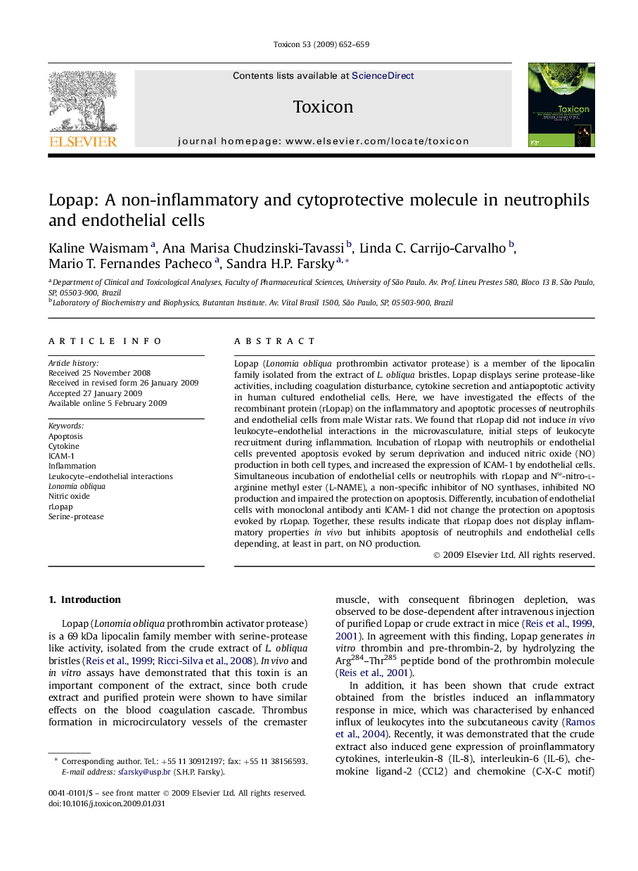 Lopap: A non-inflammatory and cytoprotective molecule in neutrophils and endothelial cells