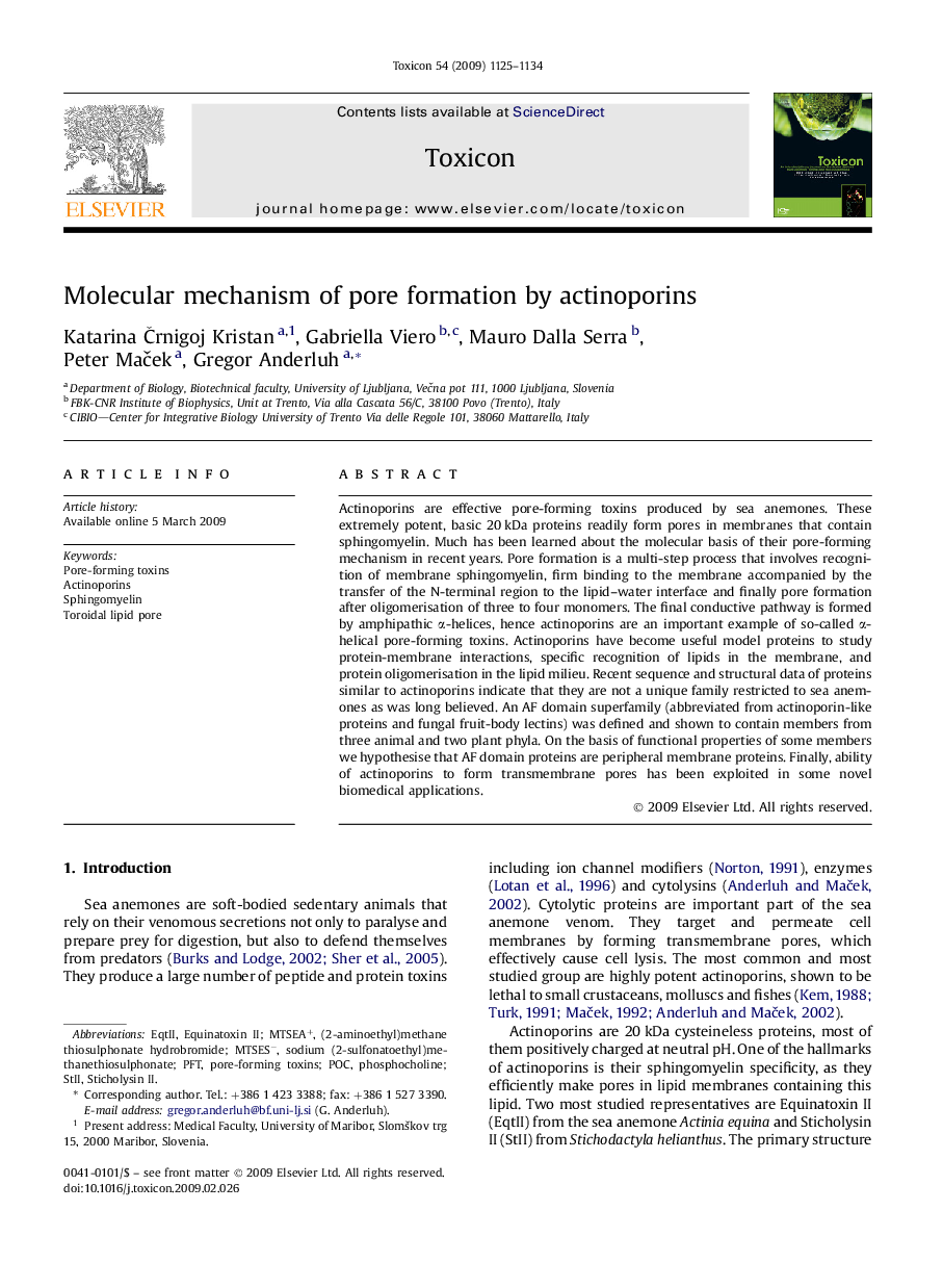 Molecular mechanism of pore formation by actinoporins