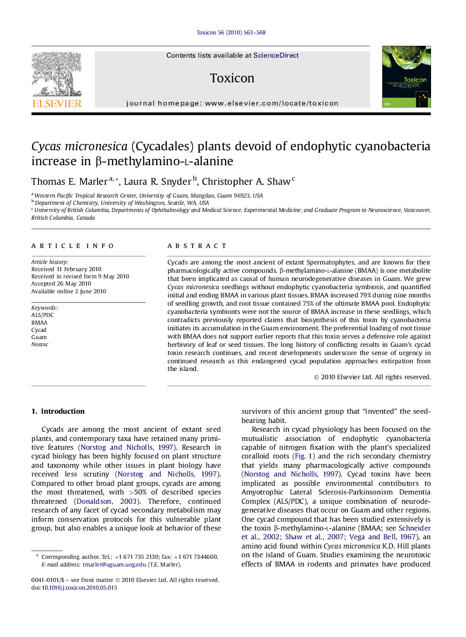 Cycas micronesica (Cycadales) plants devoid of endophytic cyanobacteria increase in β-methylamino-l-alanine