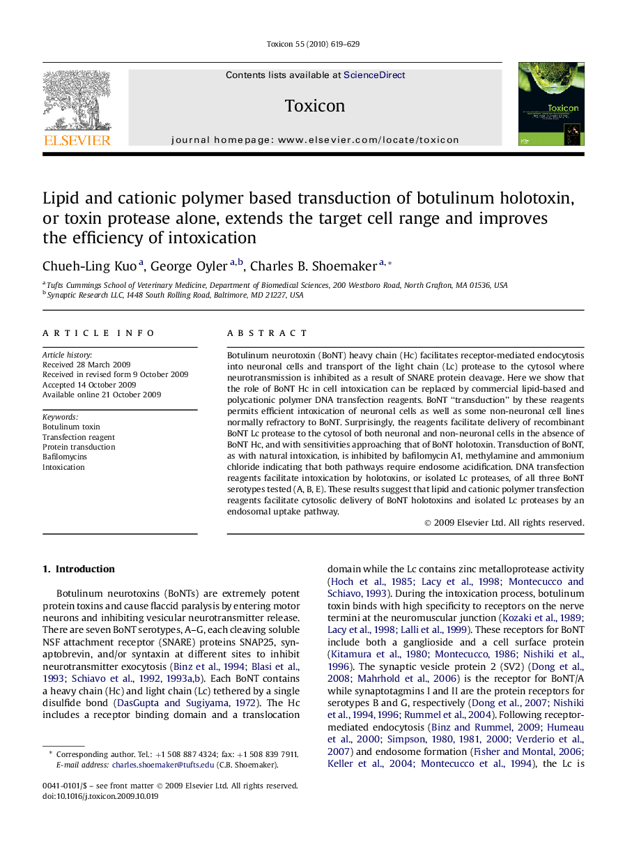 Lipid and cationic polymer based transduction of botulinum holotoxin, or toxin protease alone, extends the target cell range and improves the efficiency of intoxication