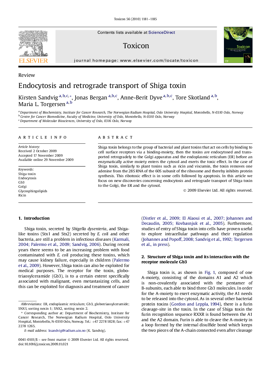 Endocytosis and retrograde transport of Shiga toxin