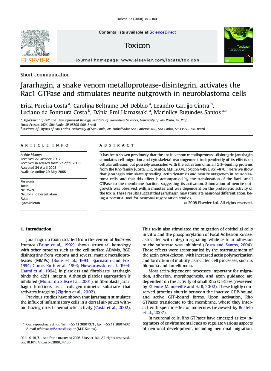 Jararhagin, a snake venom metalloprotease-disintegrin, activates the Rac1 GTPase and stimulates neurite outgrowth in neuroblastoma cells