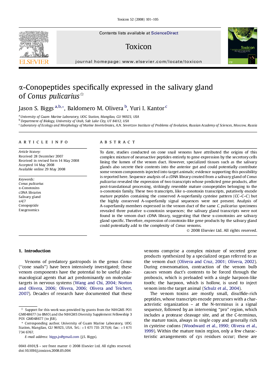 α-Conopeptides specifically expressed in the salivary gland of Conus pulicarius 