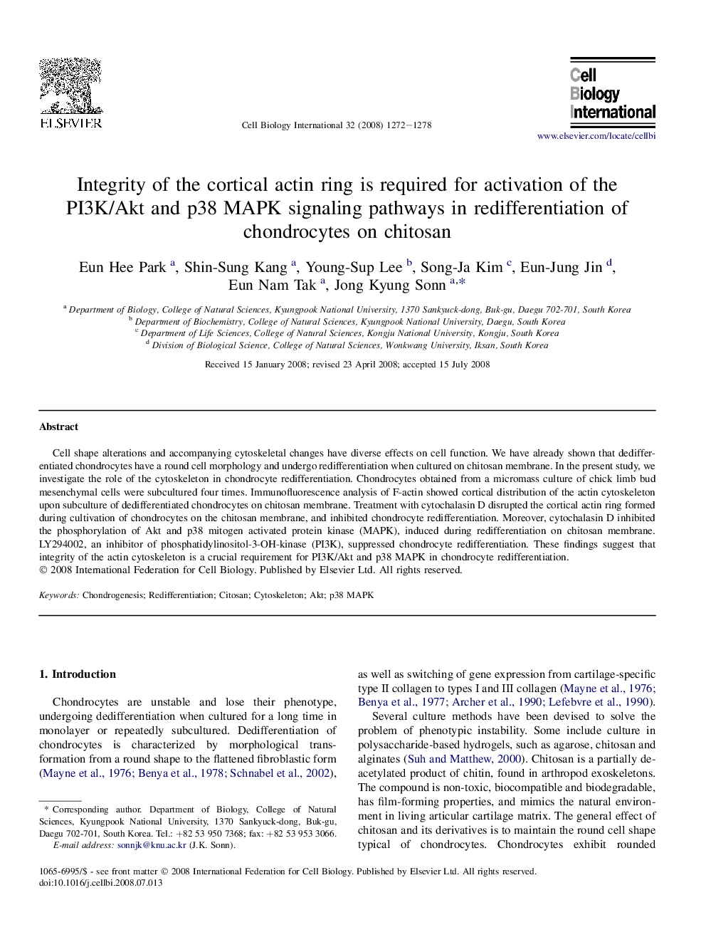 Integrity of the cortical actin ring is required for activation of the PI3K/Akt and p38 MAPK signaling pathways in redifferentiation of chondrocytes on chitosan