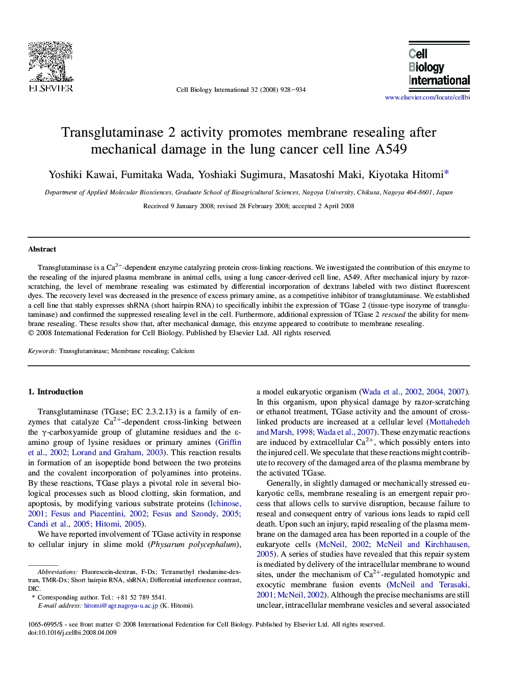 Transglutaminase 2 activity promotes membrane resealing after mechanical damage in the lung cancer cell line A549