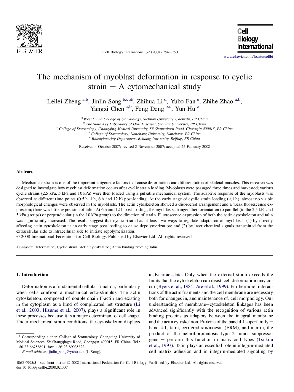 The mechanism of myoblast deformation in response to cyclic strain - A cytomechanical study