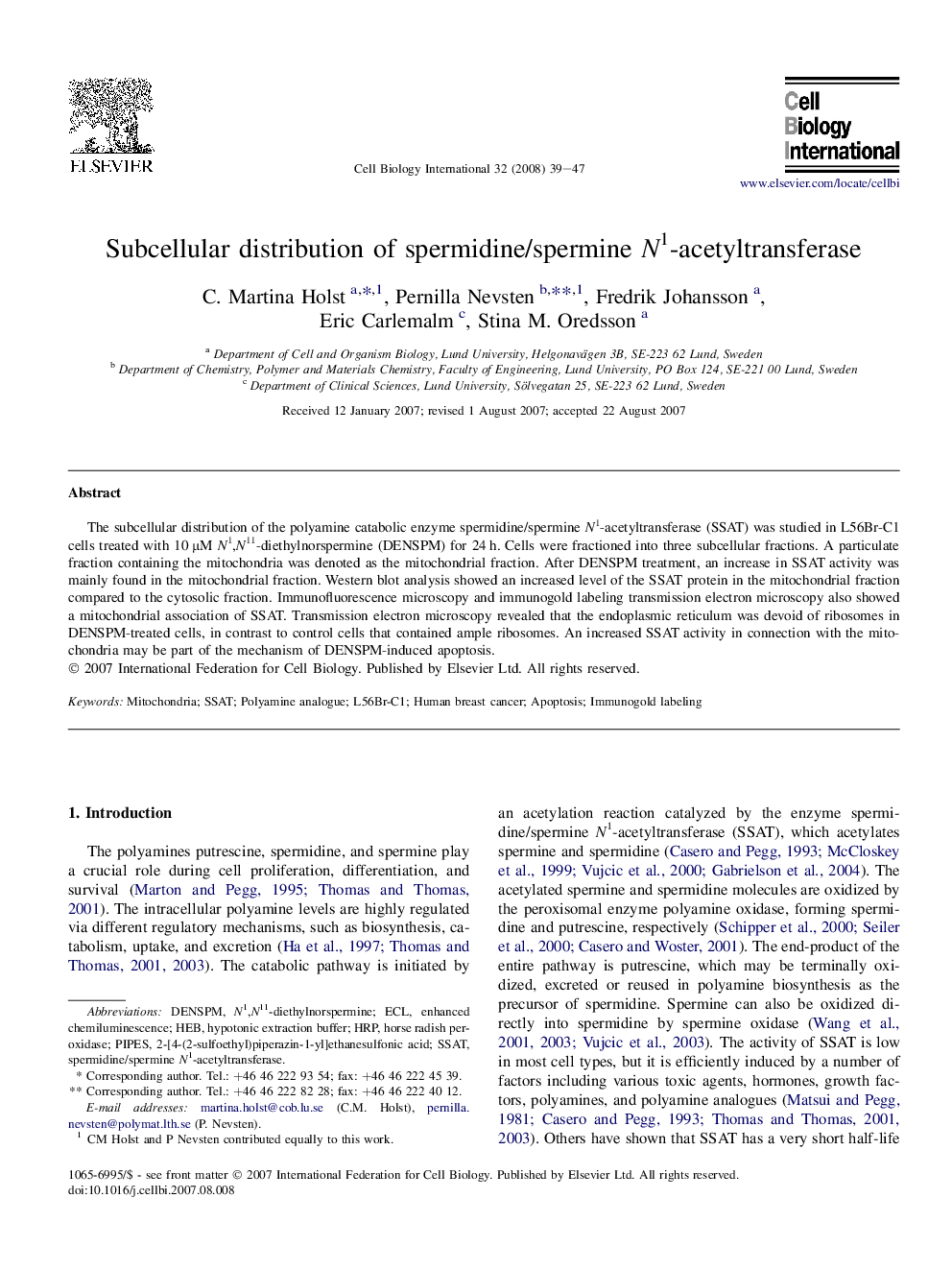 Subcellular distribution of spermidine/spermine N1-acetyltransferase