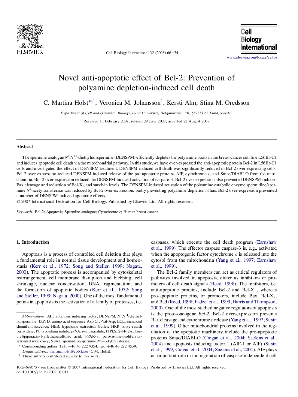 Novel anti-apoptotic effect of Bcl-2: Prevention of polyamine depletion-induced cell death