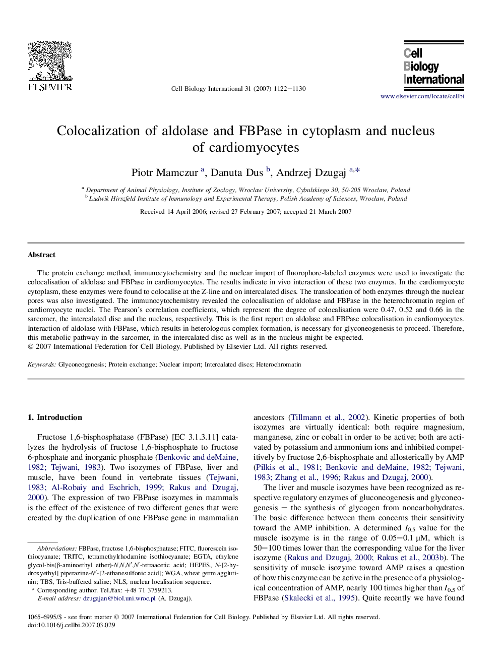 Colocalization of aldolase and FBPase in cytoplasm and nucleus of cardiomyocytes