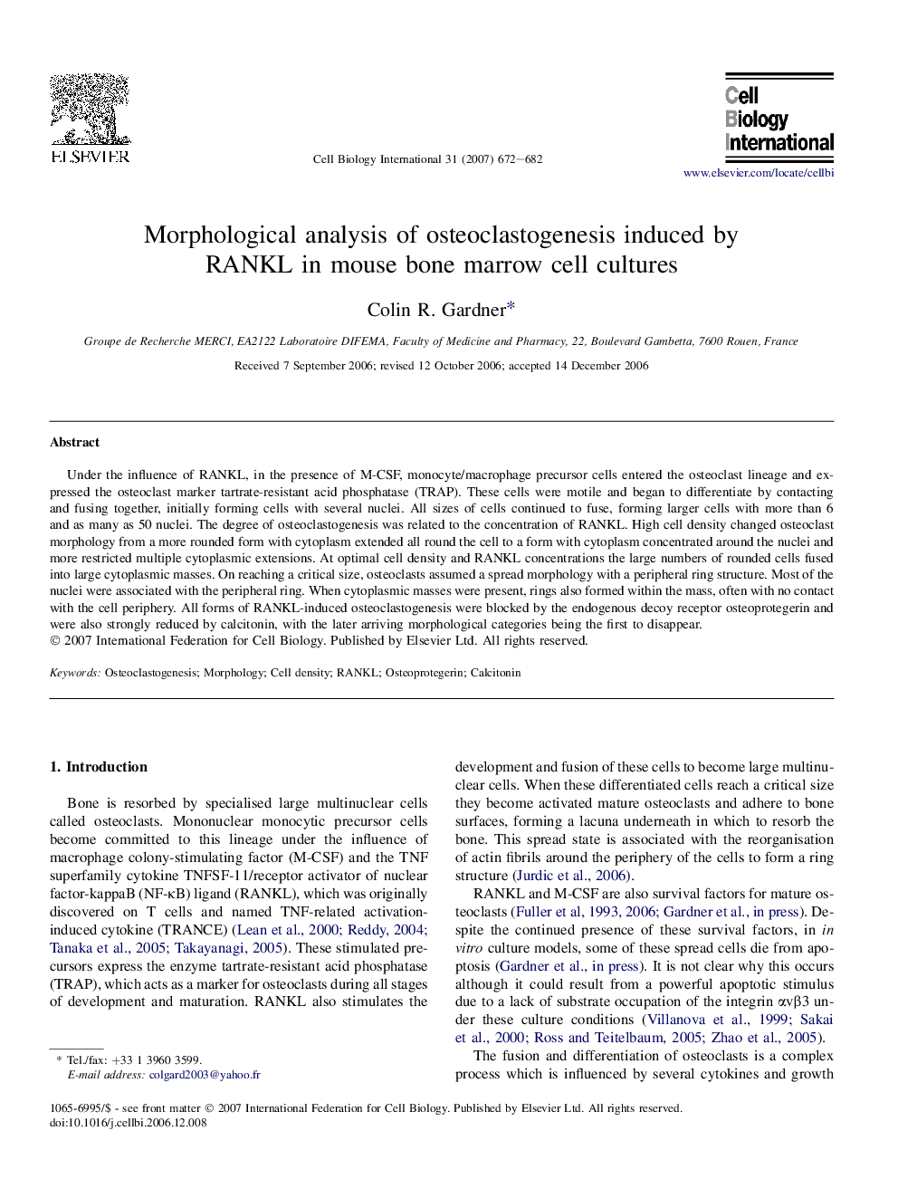 Morphological analysis of osteoclastogenesis induced by RANKL in mouse bone marrow cell cultures