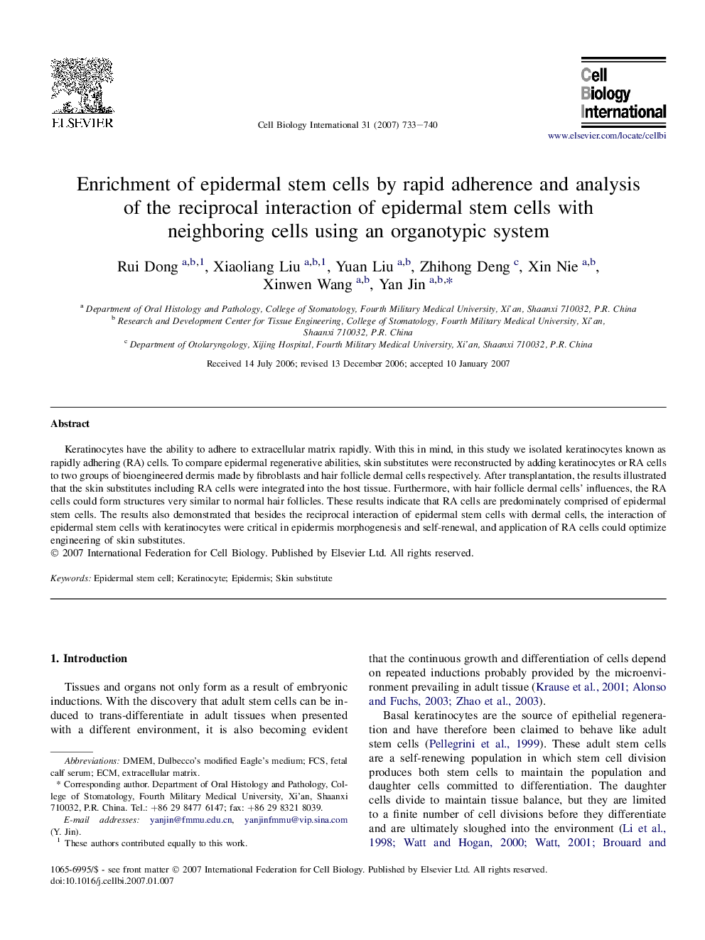 Enrichment of epidermal stem cells by rapid adherence and analysis of the reciprocal interaction of epidermal stem cells with neighboring cells using an organotypic system