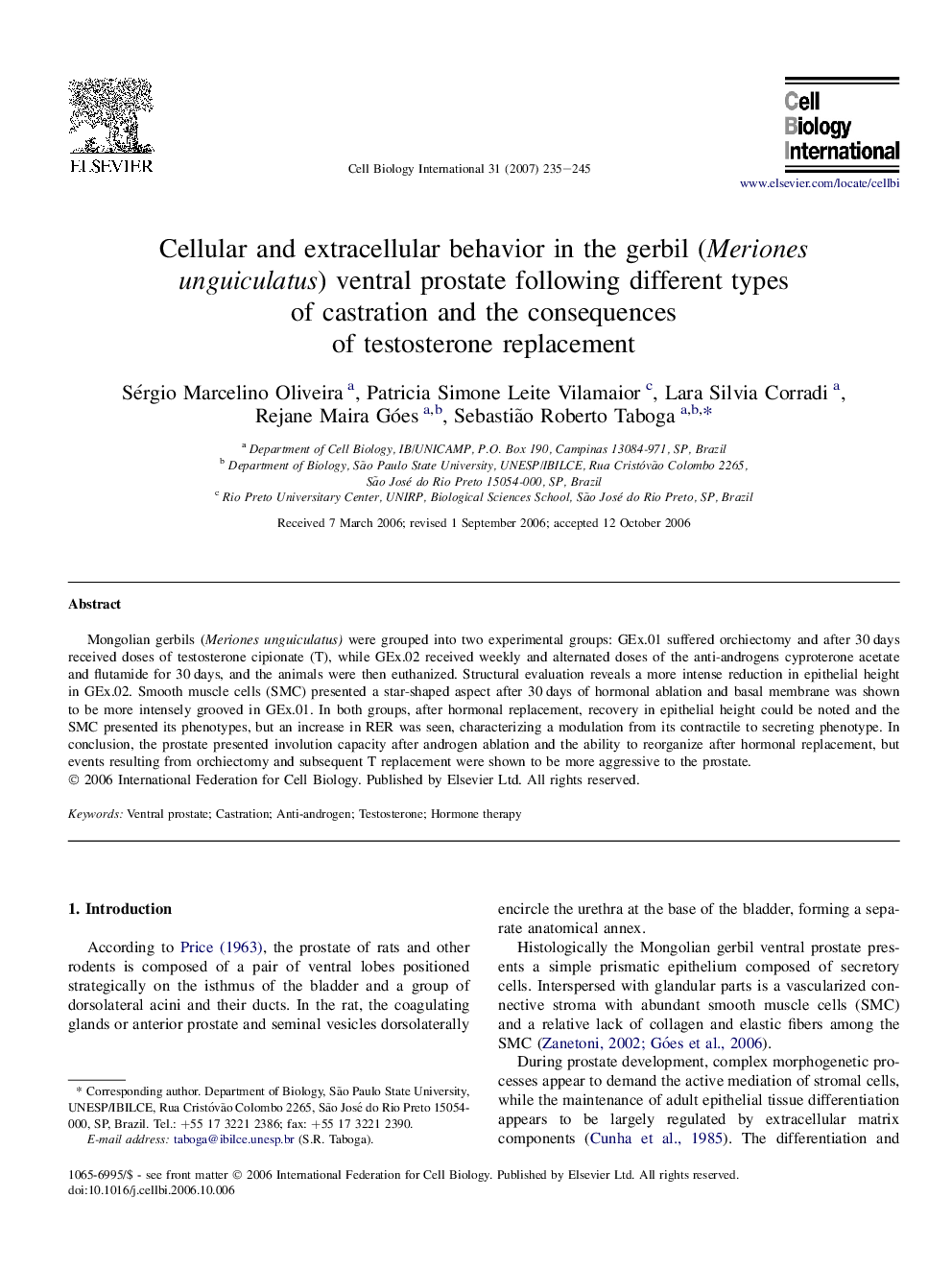 Cellular and extracellular behavior in the gerbil (Meriones unguiculatus) ventral prostate following different types of castration and the consequences of testosterone replacement