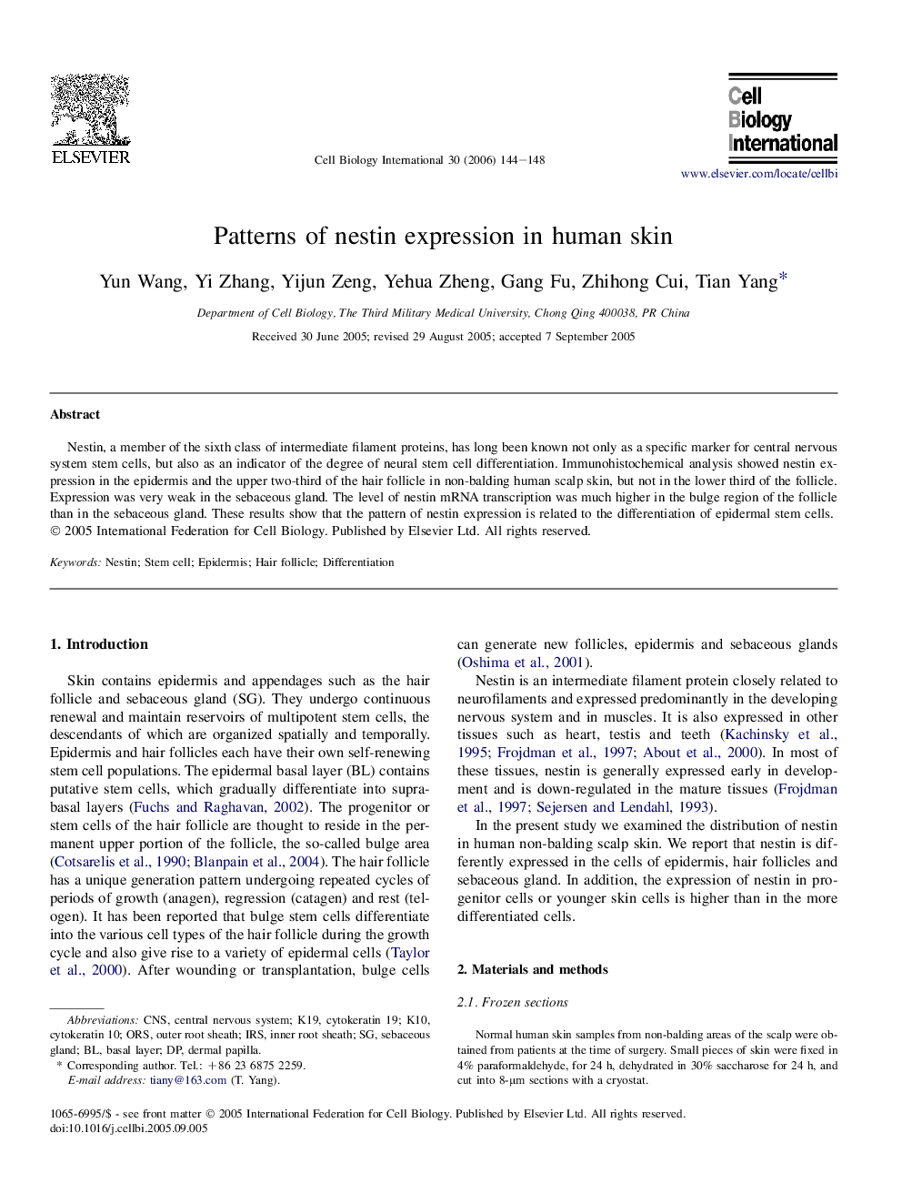 Patterns of nestin expression in human skin