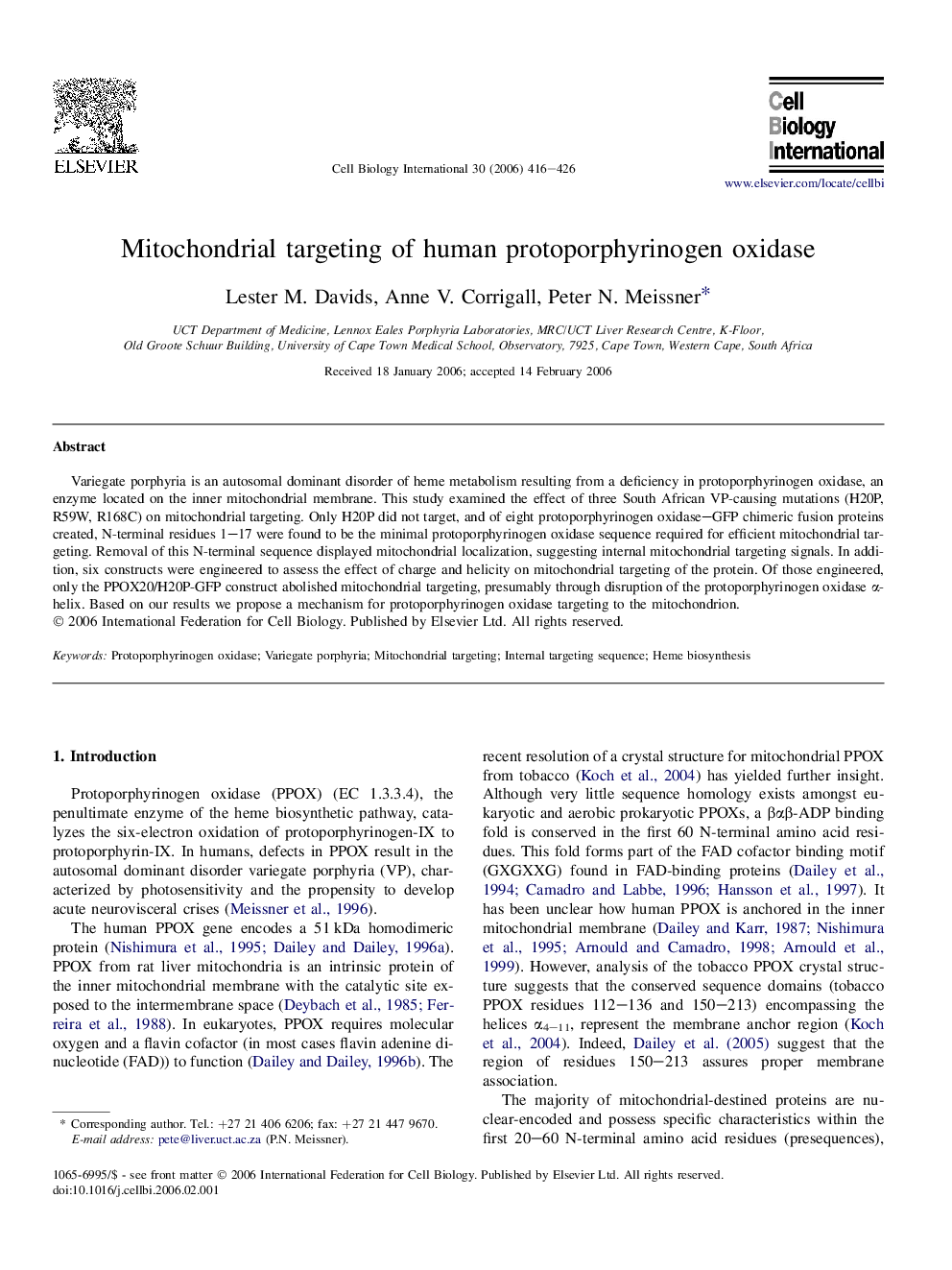 Mitochondrial targeting of human protoporphyrinogen oxidase