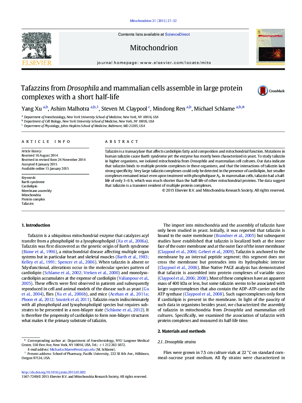 Tafazzins from Drosophila and mammalian cells assemble in large protein complexes with a short half-life