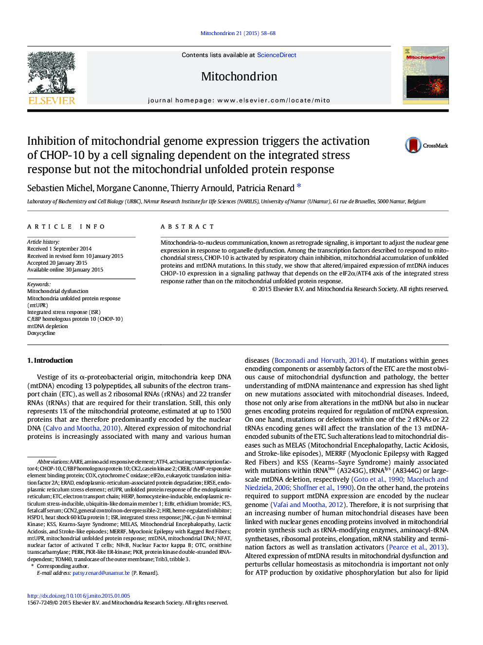 Inhibition of mitochondrial genome expression triggers the activation of CHOP-10 by a cell signaling dependent on the integrated stress response but not the mitochondrial unfolded protein response