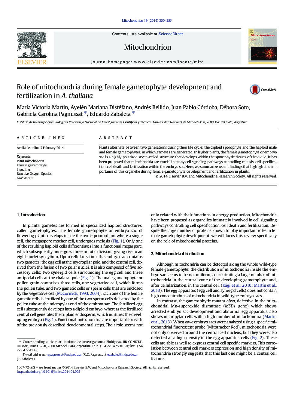 Role of mitochondria during female gametophyte development and fertilization in A. thaliana