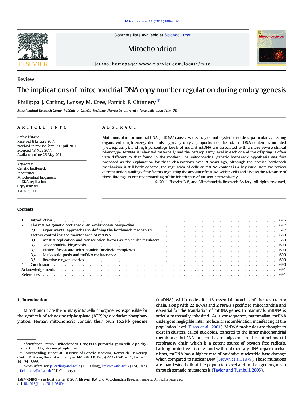 The implications of mitochondrial DNA copy number regulation during embryogenesis