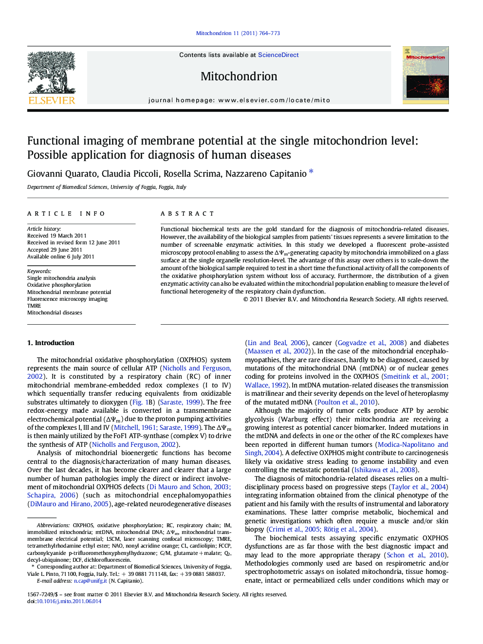 Functional imaging of membrane potential at the single mitochondrion level: Possible application for diagnosis of human diseases