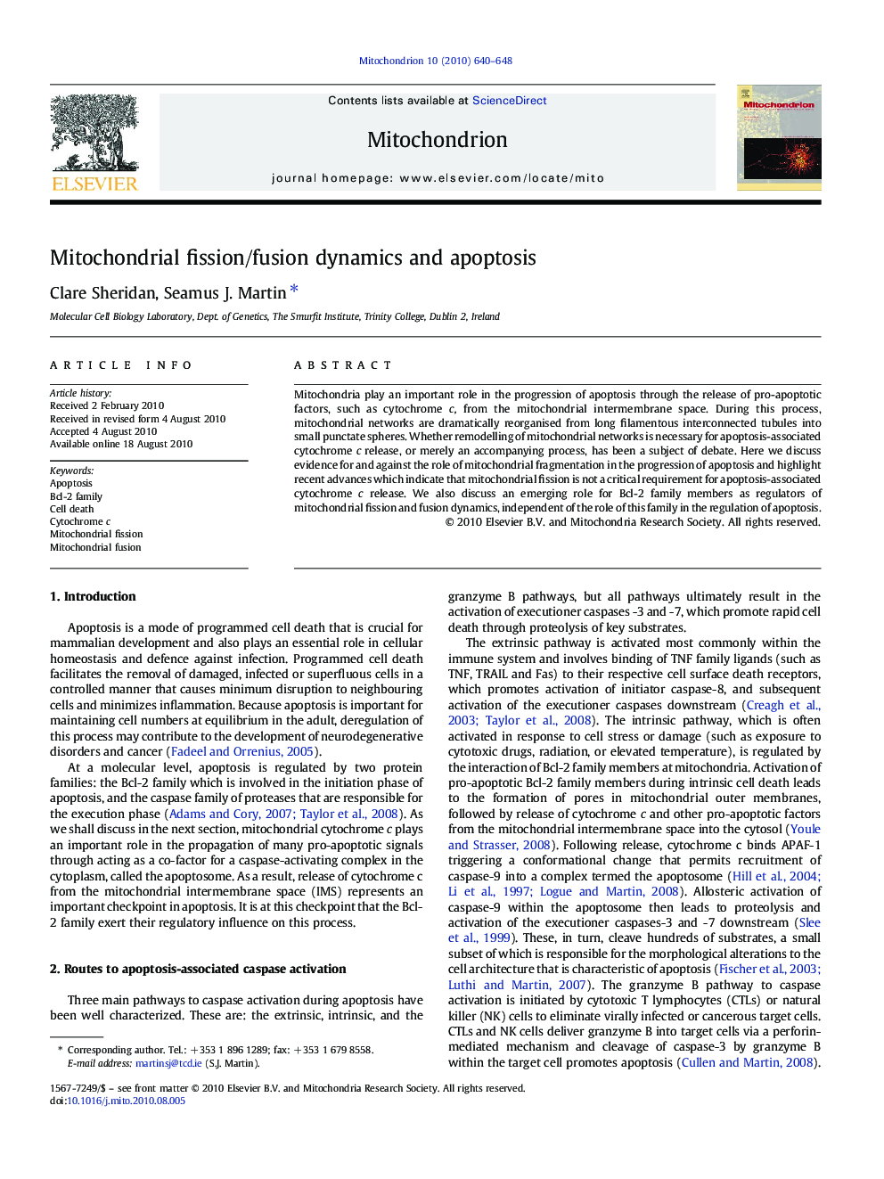 Mitochondrial fission/fusion dynamics and apoptosis