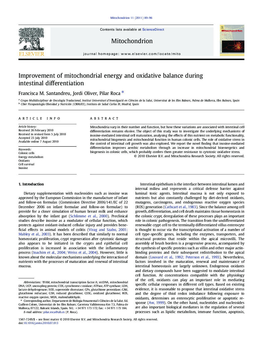 Improvement of mitochondrial energy and oxidative balance during intestinal differentiation