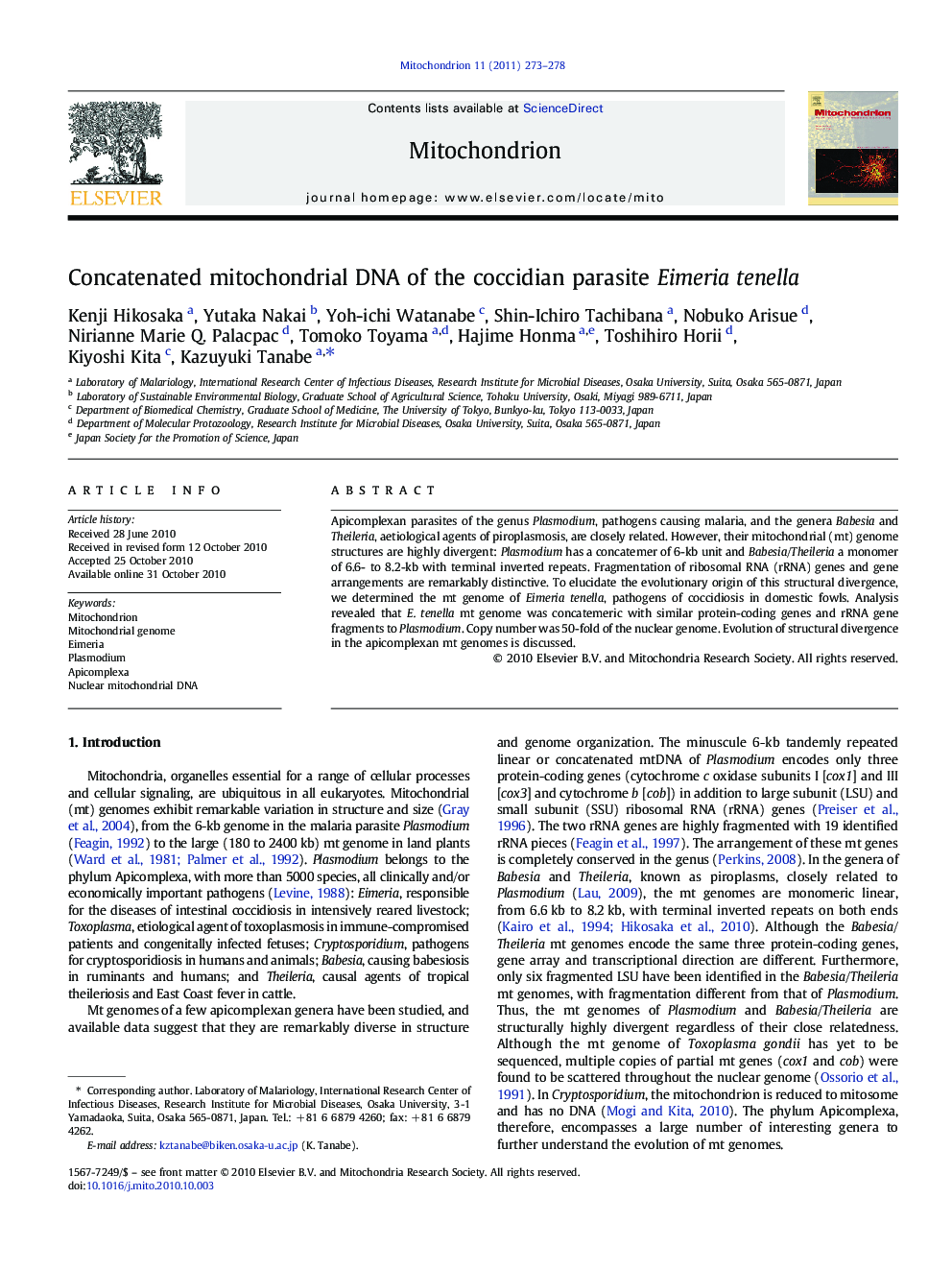 Concatenated mitochondrial DNA of the coccidian parasite Eimeria tenella