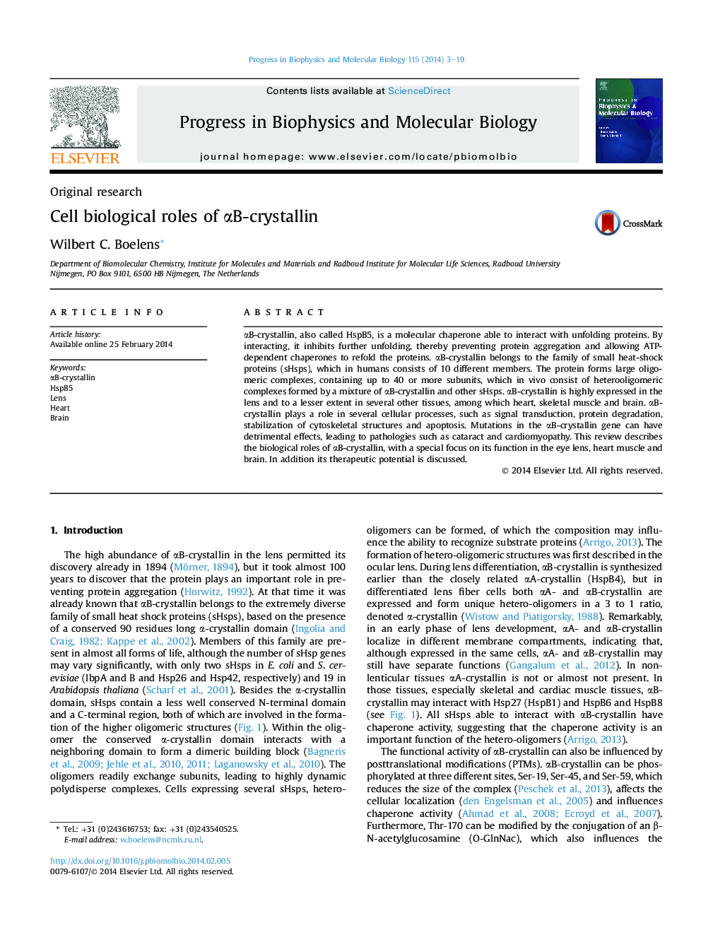 Cell biological roles of αB-crystallin