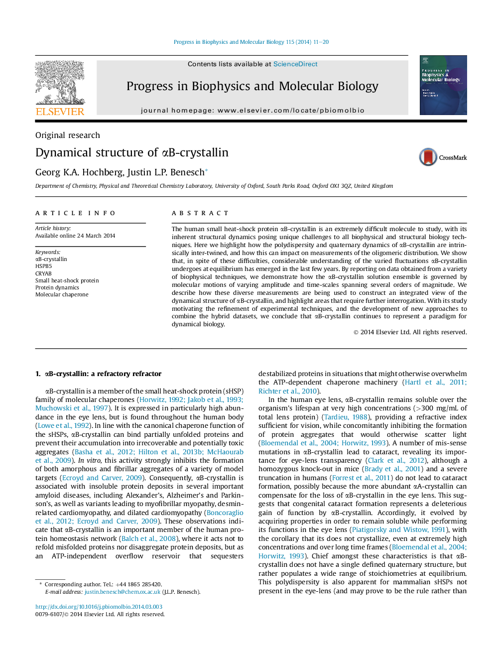 Dynamical structure of αB-crystallin