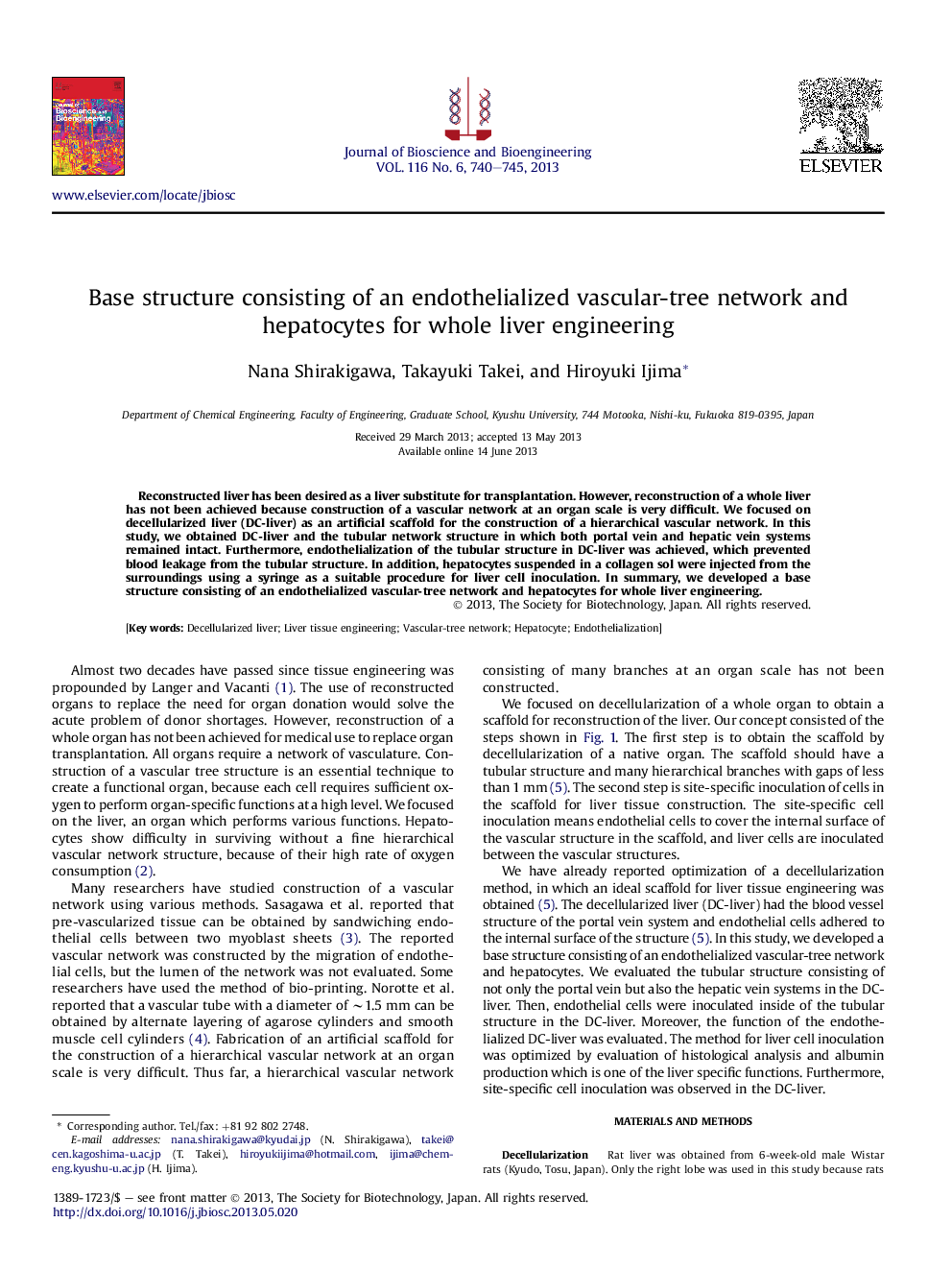 Base structure consisting of an endothelialized vascular-tree network and hepatocytes for whole liver engineering